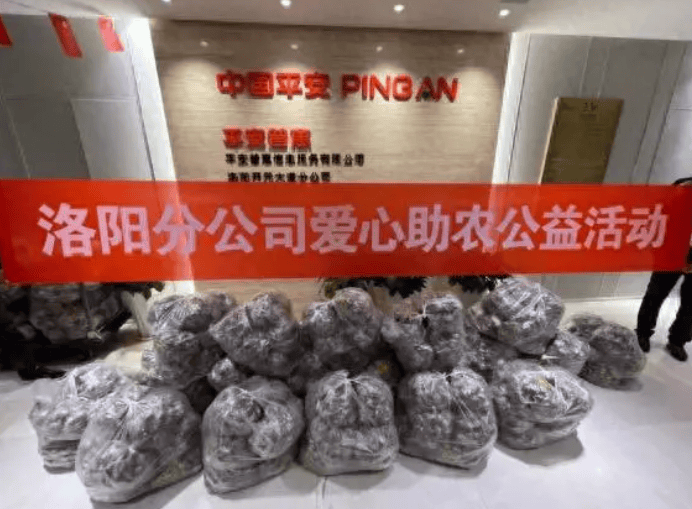 招联消费金融人工客服电话 招联消费金融人工客服电话